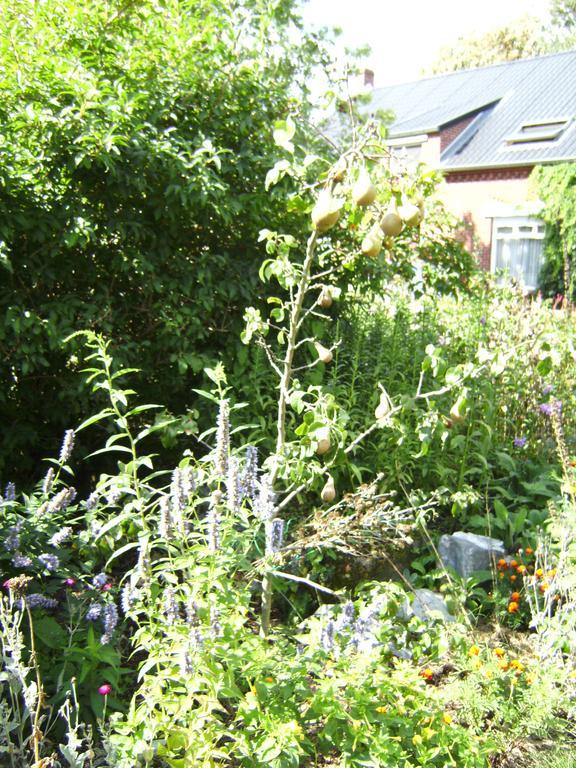 B&B Het Uilennest Bocholt Exterior foto