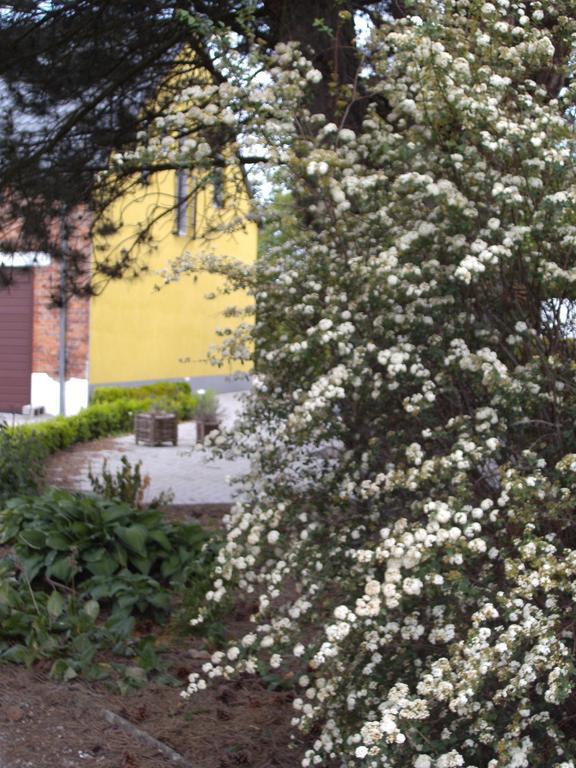 B&B Het Uilennest Bocholt Exterior foto